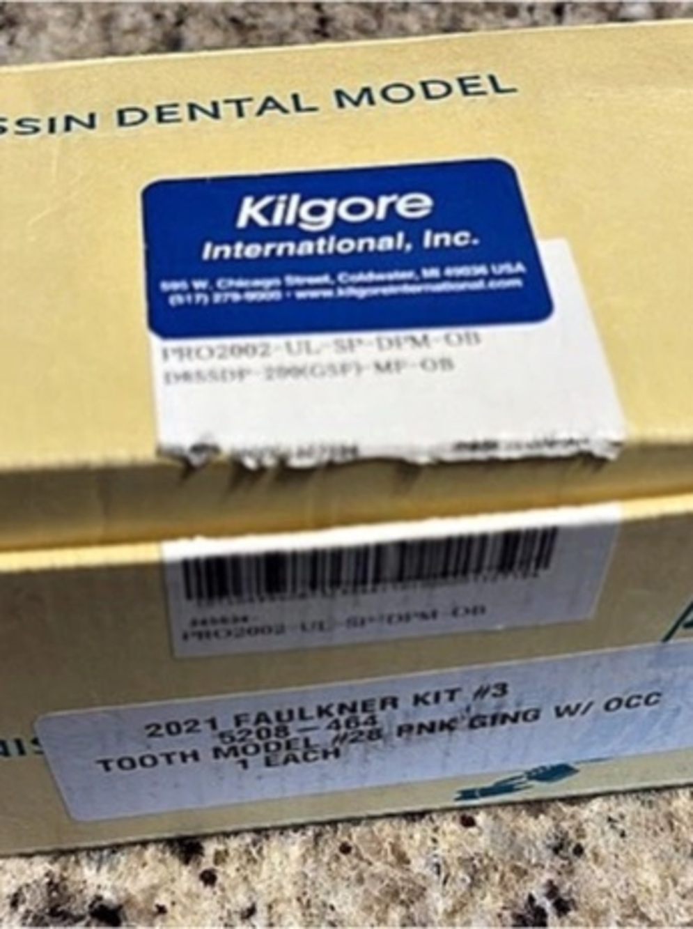 Kilgore International, Inc. 2021 Faulkner Kit #3 5028-464. Dental Training Model